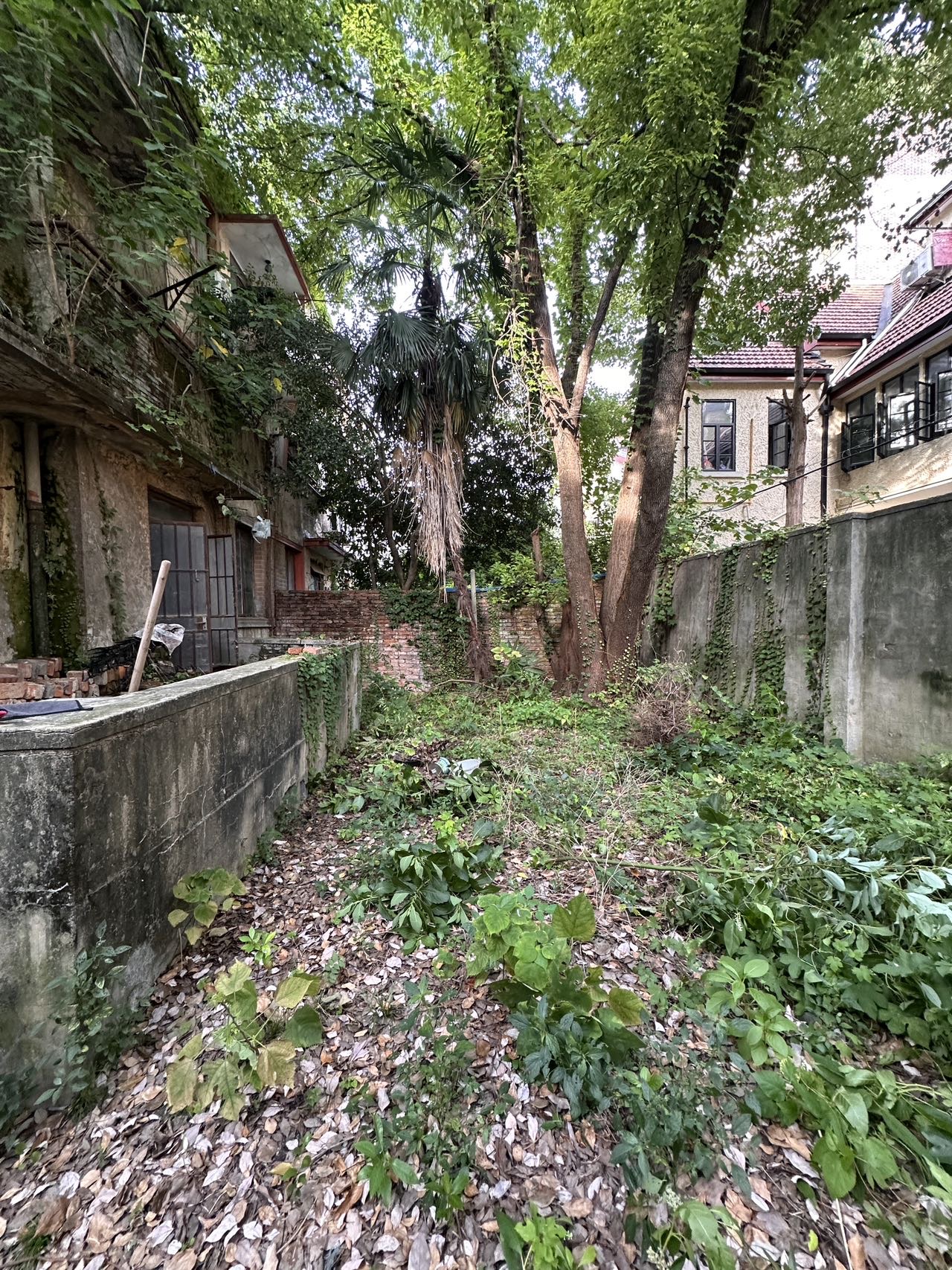 原始祖宅｜五原路整栋｜毛胚状态