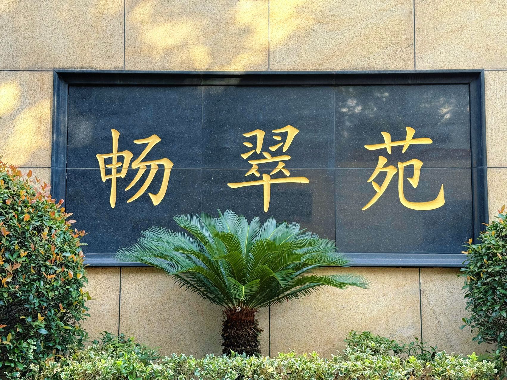 畅翠苑（新华路大平层）