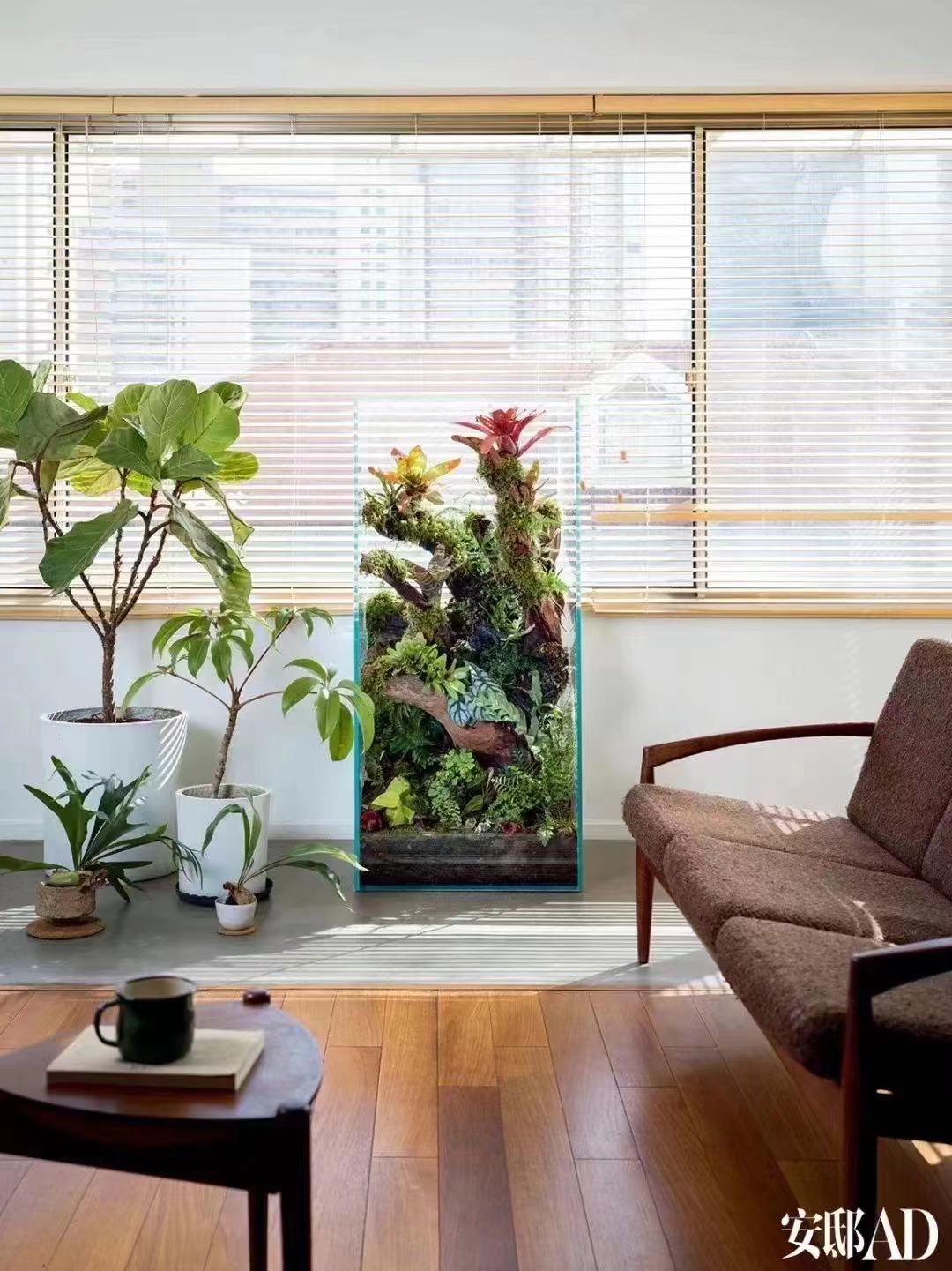 利西路带160平露台的家