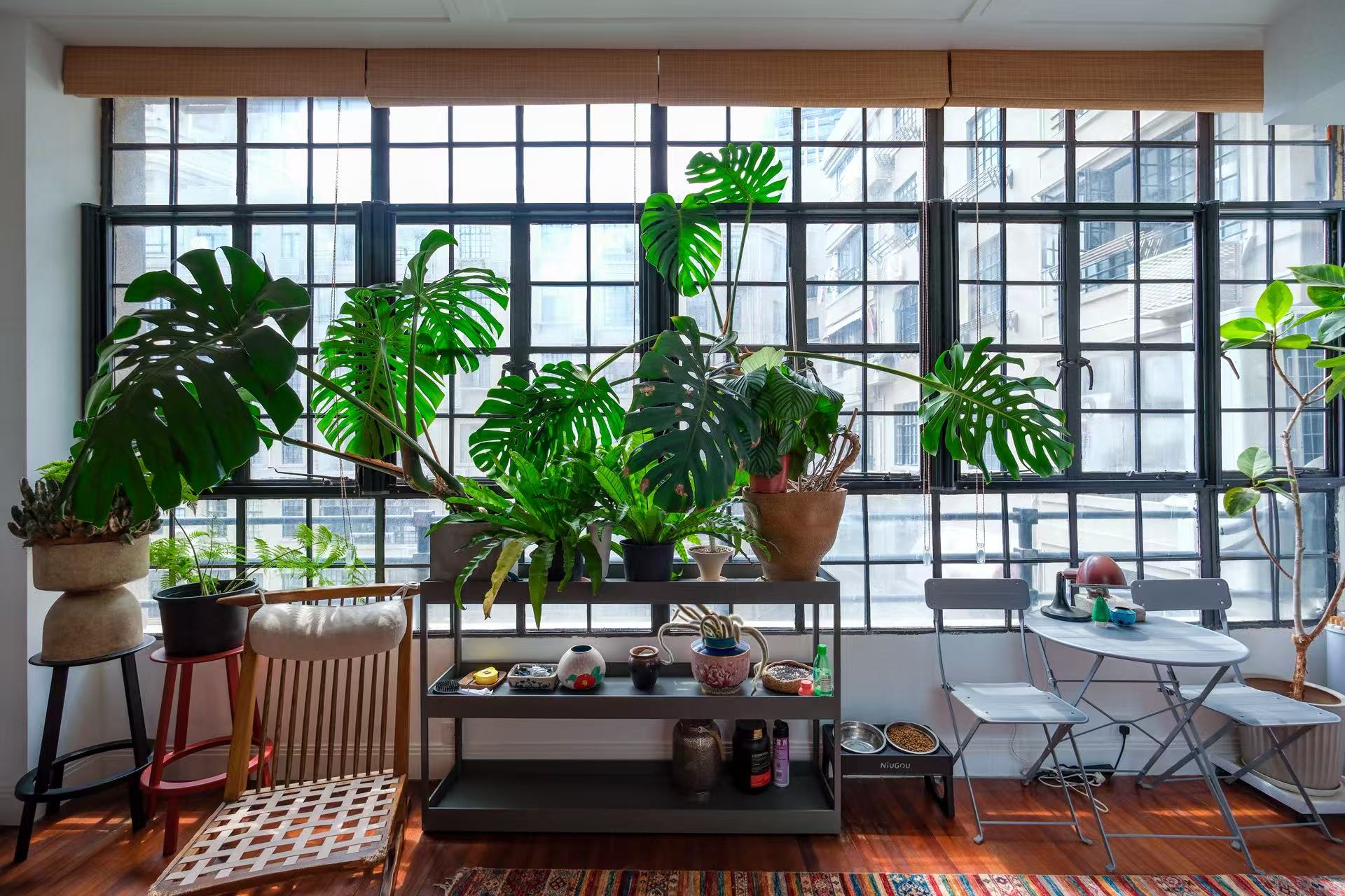 河滨大楼（上海经典电梯老公寓）