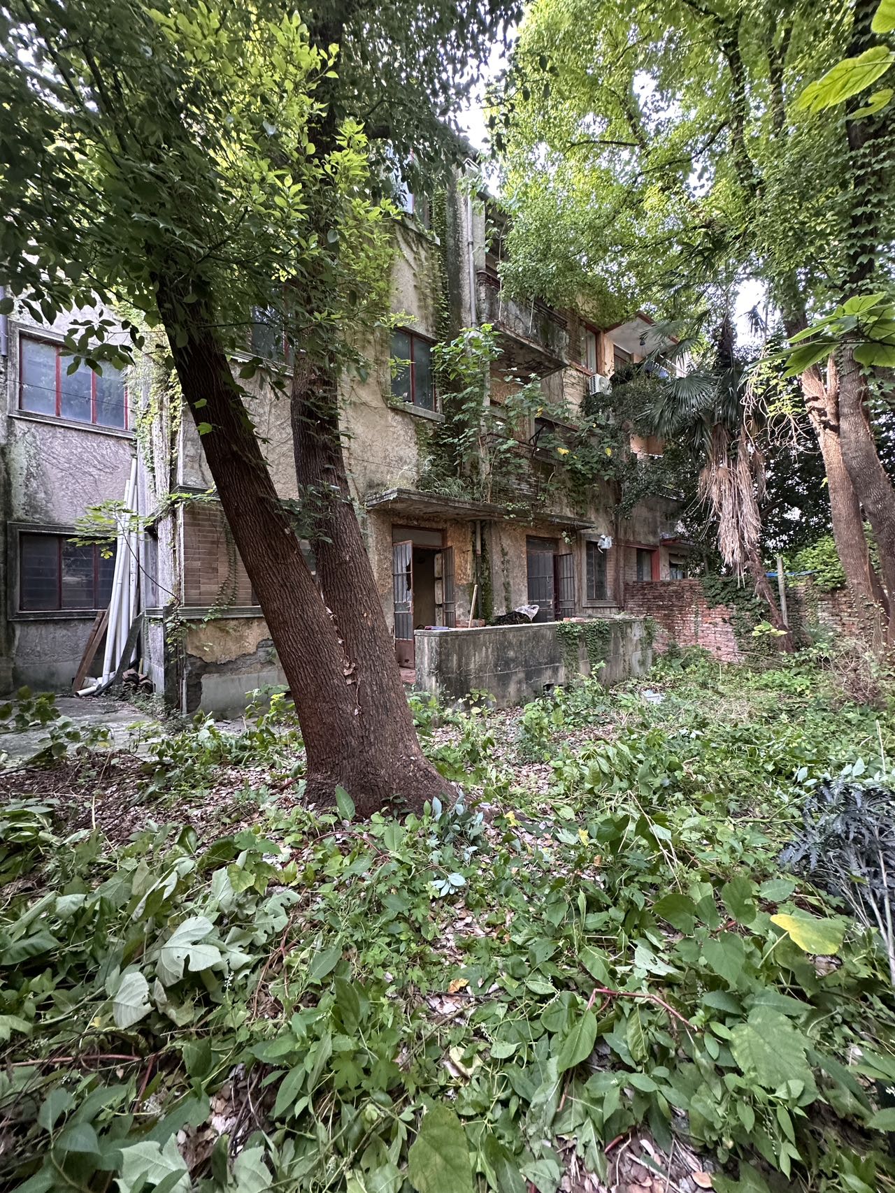 五原路｜整栋祖宅｜原始毛坯